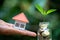 Model house in human hands and Tree grows from a pile of coins, Real estate investment, sustainable development, trees growing on