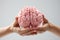 Model human brain held in hand, isolated on a white surface