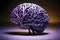 model of individual human brain in purple tones on dark background