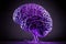 model of individual human brain in purple tones on dark background