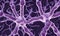 Model of neuron cells