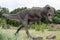 A model of a prehistoric dinosaur made available to visitors to a Jurassic park to learn about the history.