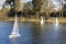 Model sailboats in a pond in a park in Paris. Birds fly, parents walk with children, geese in a pond