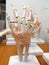 Model sample anatomy hand bones nerve and tendon make from ceramics on white stand.