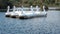 Model Swan Boats on a Lake