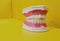 Model of teeth for dentists to explain various tooth diseases or problems in yellow background