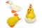 Modelling clay duck and baby chicken
