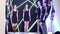 Models with slender legs in identical dresses and expensive shoes on high heels stand on background of black wall