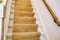 Modern american design white wooden stairs. Carpeted stairs and a wooden banister and railing are visible