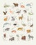 Modern animal alphabet poster design. Soft colors for wall art, prints, decor.