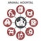 Modern animal hospital Infographic design template with icons. Veterinary clinic Infographic visualization in bubble