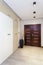 Modern anteroom in the apartment