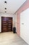 Modern anteroom in new house