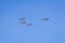 Modern armed military fighter jets flys in formation through the sky