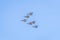 Modern armed military fighter jets flys in formation through the sky