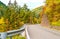 A modern asphalt road meanders between the hills, surrounded by fir trees and autumn forest