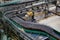 Modern automated beer bottling production line. Beer bottles moving on conveyor