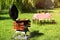 Modern barbecue grill with tasty food