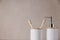 Modern bathroom concept, eco bamboo toothbrushes, white minimalist set