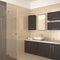 Modern bathroom with dark wood equipment