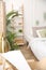 Modern bedroom with beautiful fresh house plants