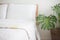 Modern bedroom with monstera plant