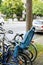 Modern bicycle with blue security confort kid child seat