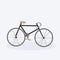 Modern bicycle stylish cartoon bike white background flat