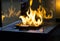 Modern bio fireplot fireplace on ethanol gas.