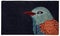 Modern Black Kingfisher bird printed zute doormat