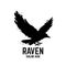 Modern black raven logo. Vector illustration