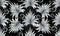 Modern black white floral striped seamless pattern. 3d wallpaper