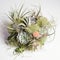 Modern bouquet with air plants and succulents. Mother\\\'s Day Flowers Design concept