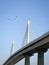 Modern bridge against a clear blue sky, creating a stunning and captivating sight