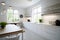 a modern and bright kitchen - white lacquered colors
