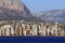 Modern buildings close to the beach of Benidorm city.