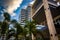 Modern buildings and palm trees in Saint Petersburg, Florida.