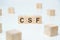 Modern business buzzword - csf - critical success factor. Word on wooden blocks on a white background