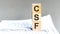 Modern business buzzword - csf - critical success factor. Word on wooden blocks on a white background. Close up