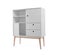 Modern cabinet isolated. Furniture for wardrobe room