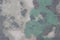 Modern camouflage fabric texture