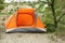 Modern camping tent near tree in