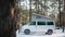 Modern camping van with pop up roof parked in the woods on a sunny winter day