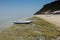 modern canoe boats with oars on the ocean beach