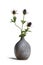 Modern ceramic vase with thistle flower isolated on white background