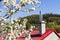 Modern chimney on the house and blooming tree in spring