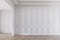 Modern classic interior style emtry room with white panels