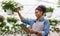 Modern climate control in greenhouse with smart technologies. Woman with digital tablet checks flowers in pot