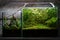 Modern closed florarium in interior. Mini home garden glass container with miniature plants