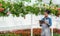 Modern collection of data on plants. Busy girl gardener with tablet in hand in greenhouse interior